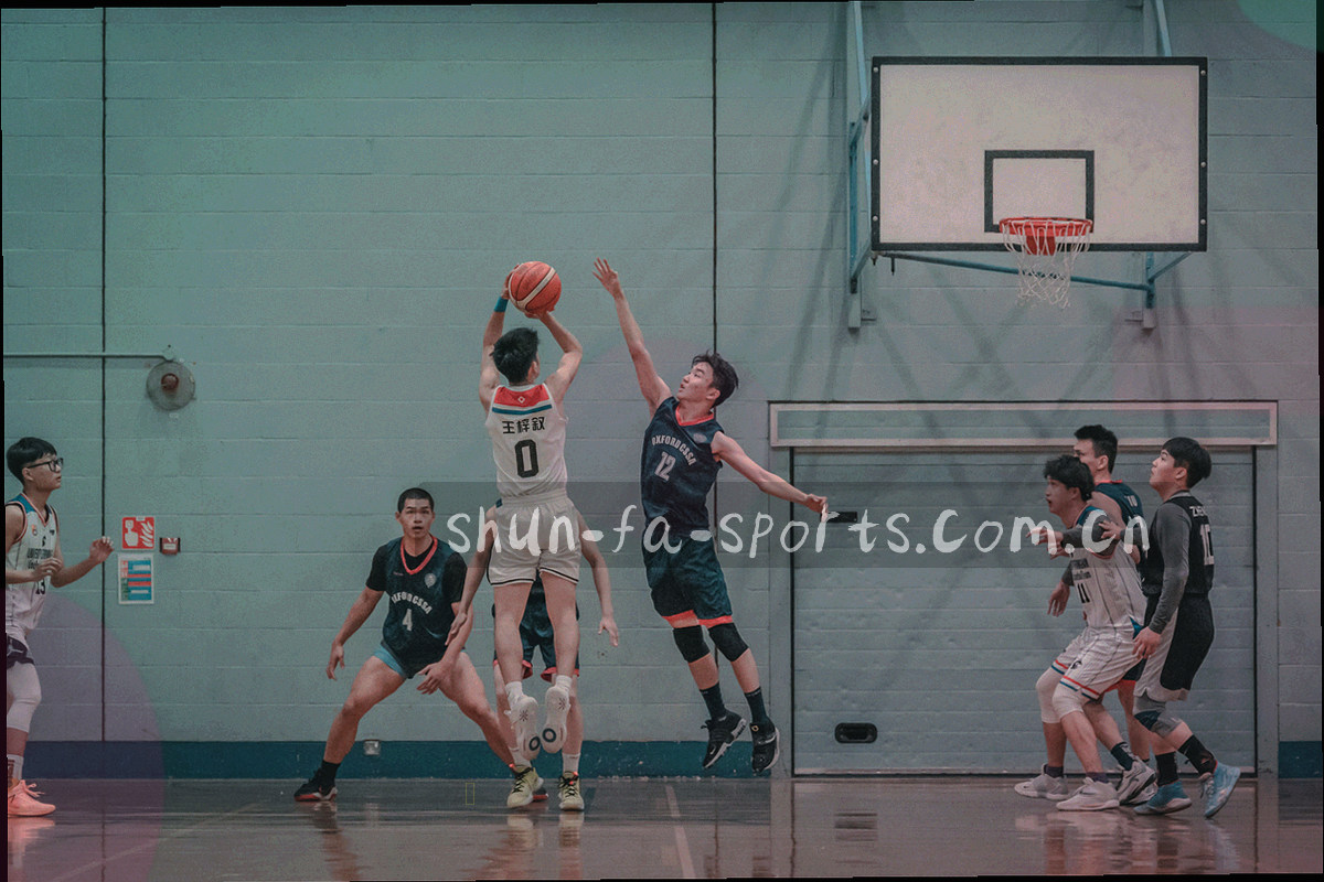 手机、平板与桌面浏览器窗口并排切换的示意图，画面中无真人出镜
